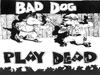 Bad Dog Play Dead